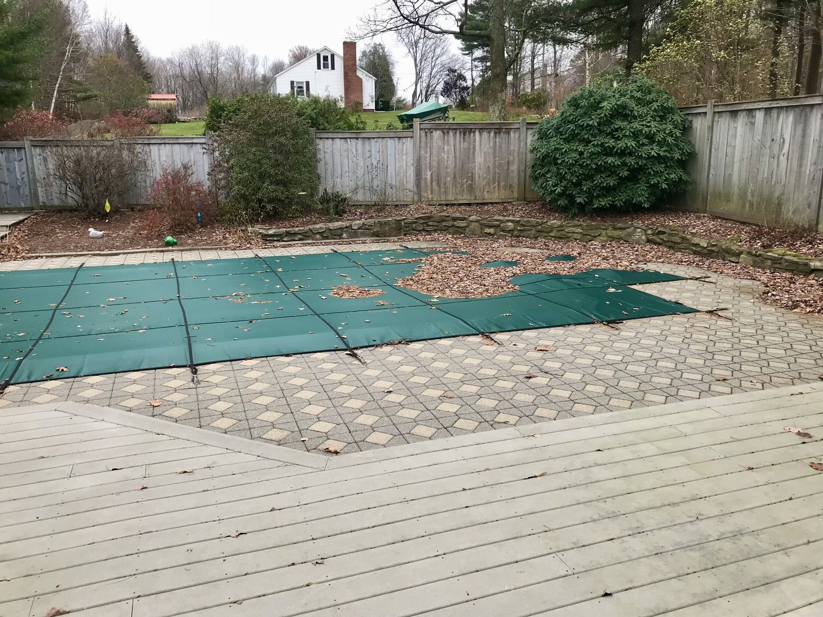 Pool deck and surrounding garden beds buried under fallen leaves before the spring clean-up