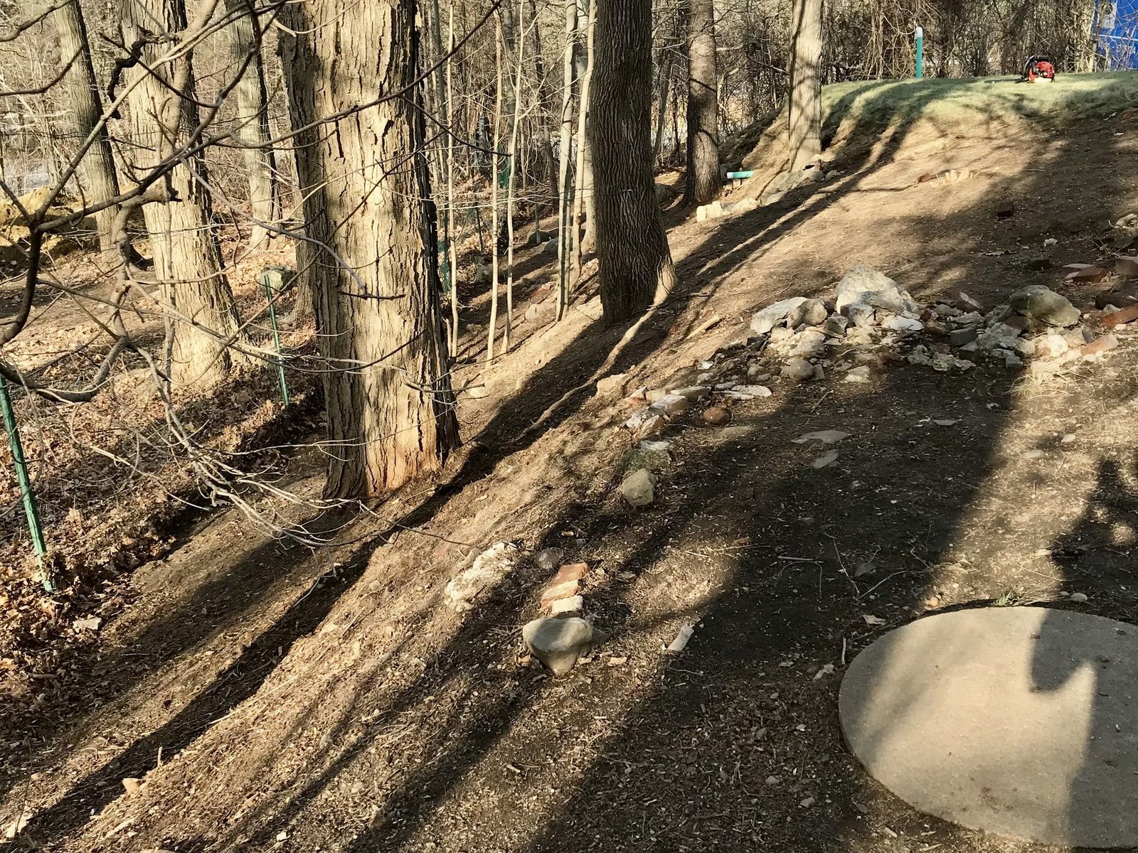 The same embankment cleared of brush and raked clean down to open ground
