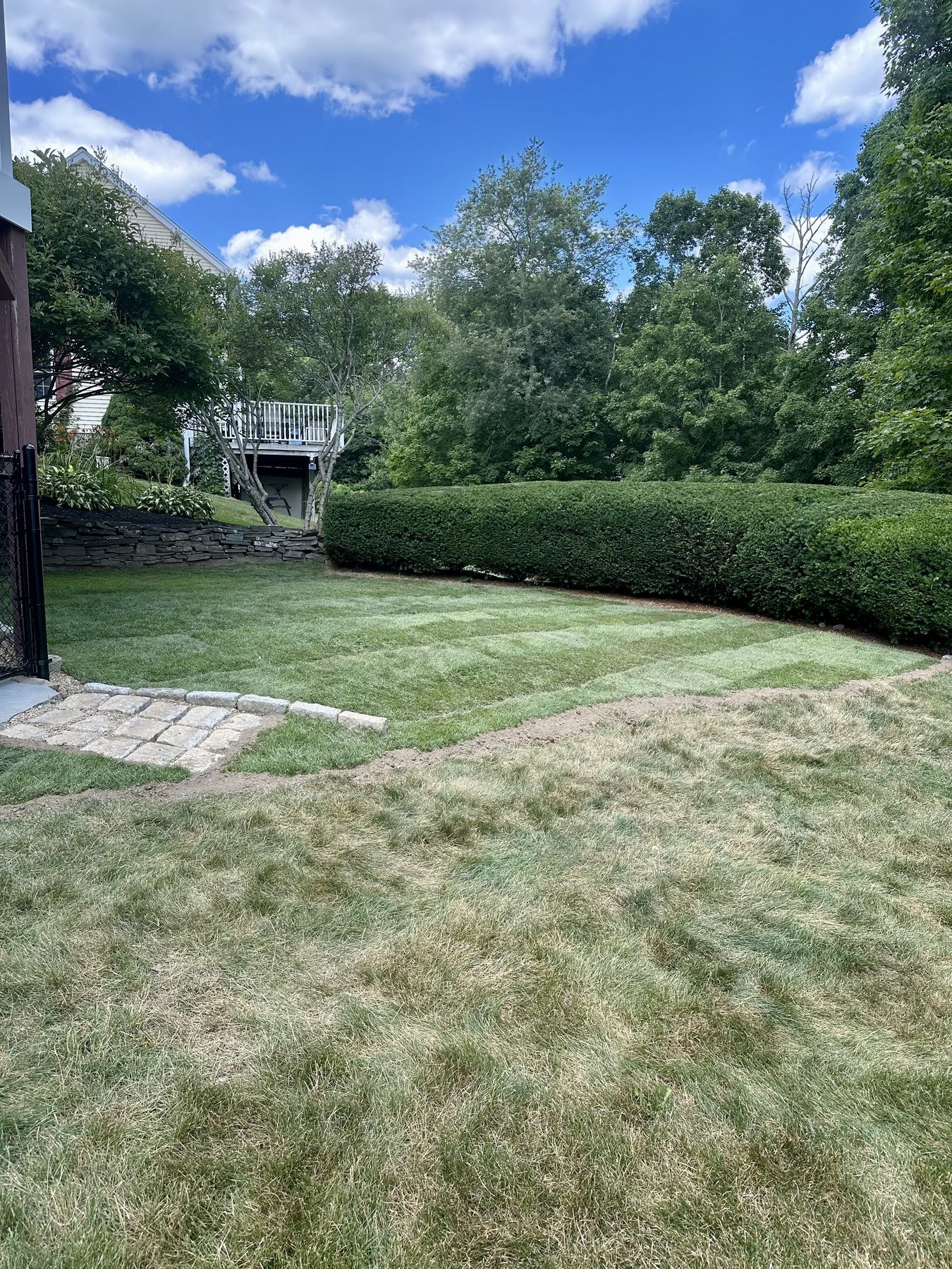 Backyard lawn mowed in stripes beside a cobblestone patio and a long trimmed hedge