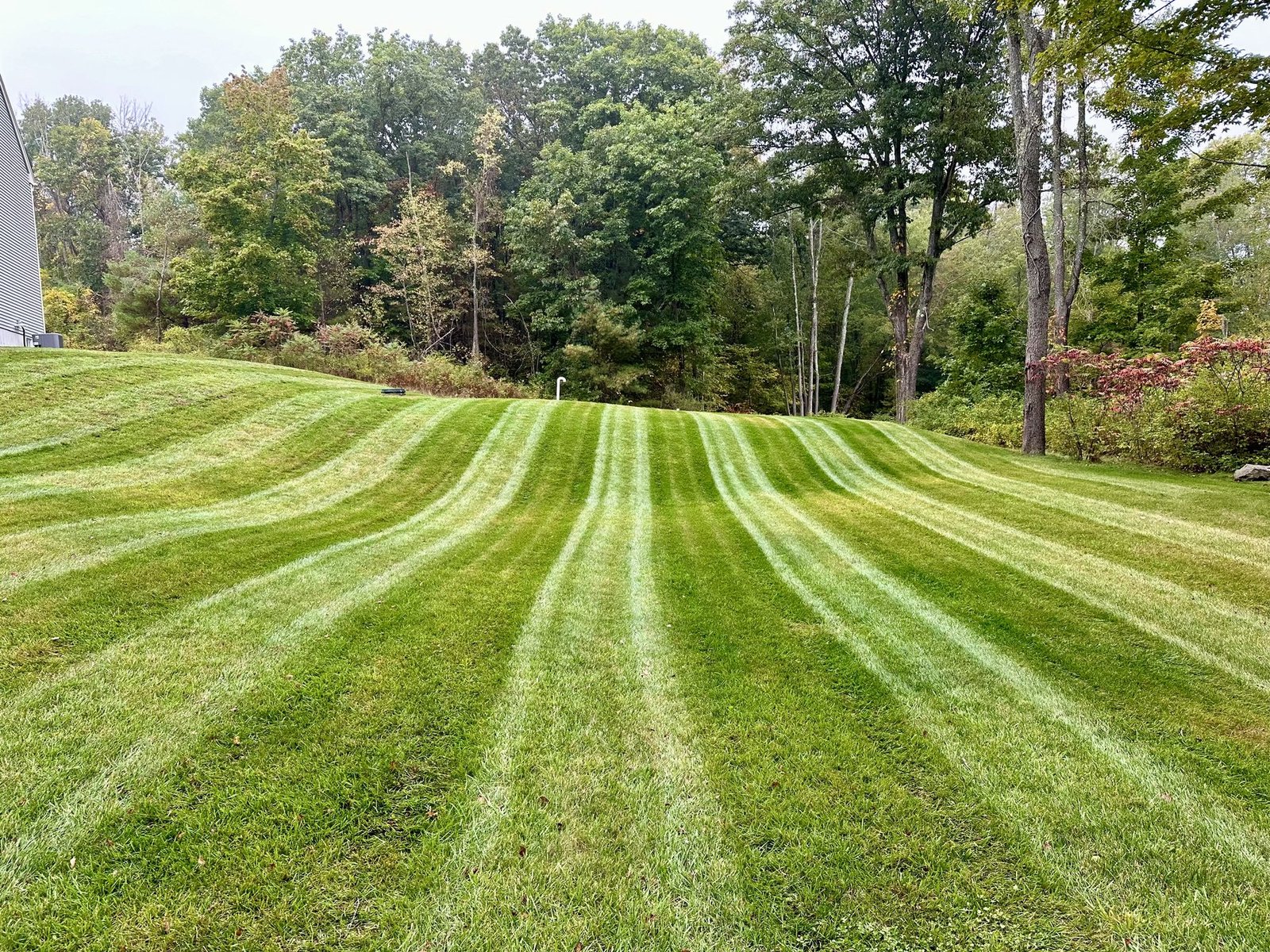 Sweeping hillside lawn mowed in clean stripes with woods rising behind it