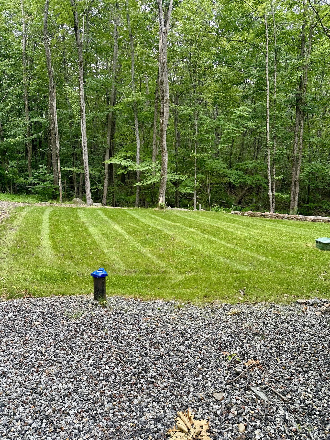Striped strip of lawn at the edge of the woods beside a gravel drive