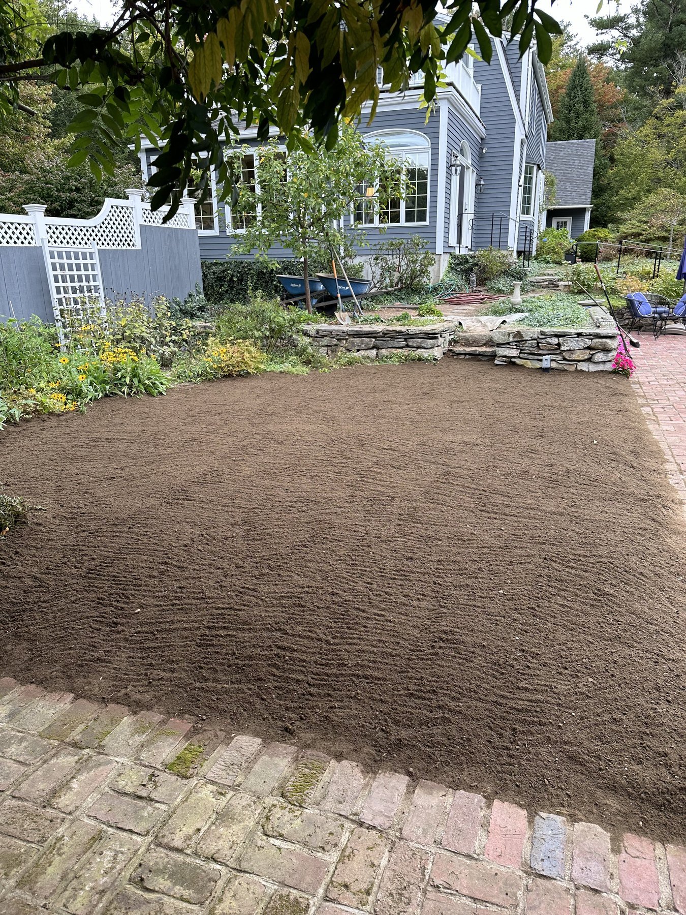 Freshly raked and seeded soil where a new lawn is going in beside a stone wall and brick patio