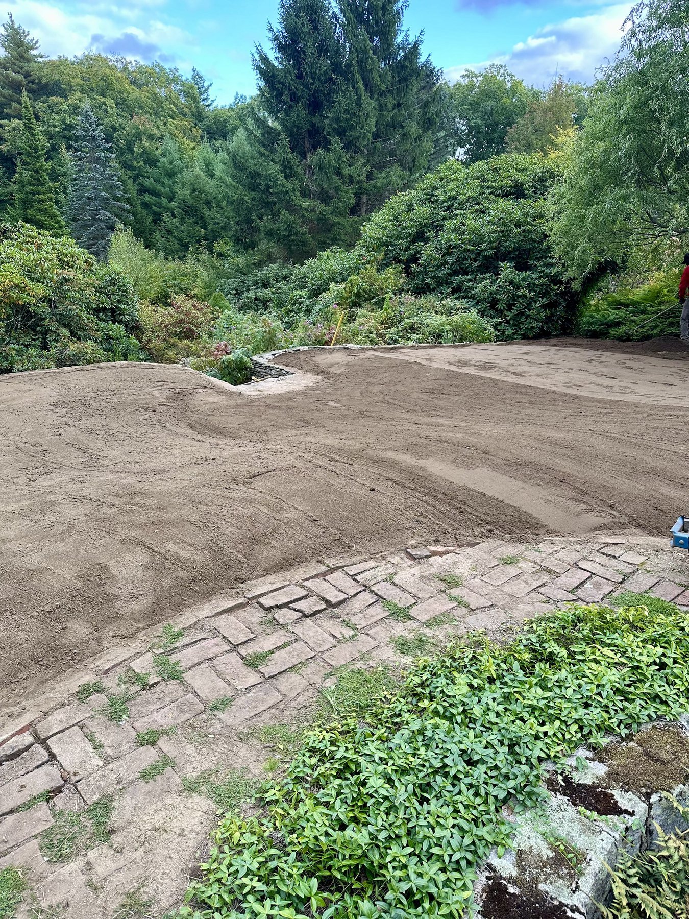 A large area of freshly graded topsoil framed by evergreens and mature shrubs