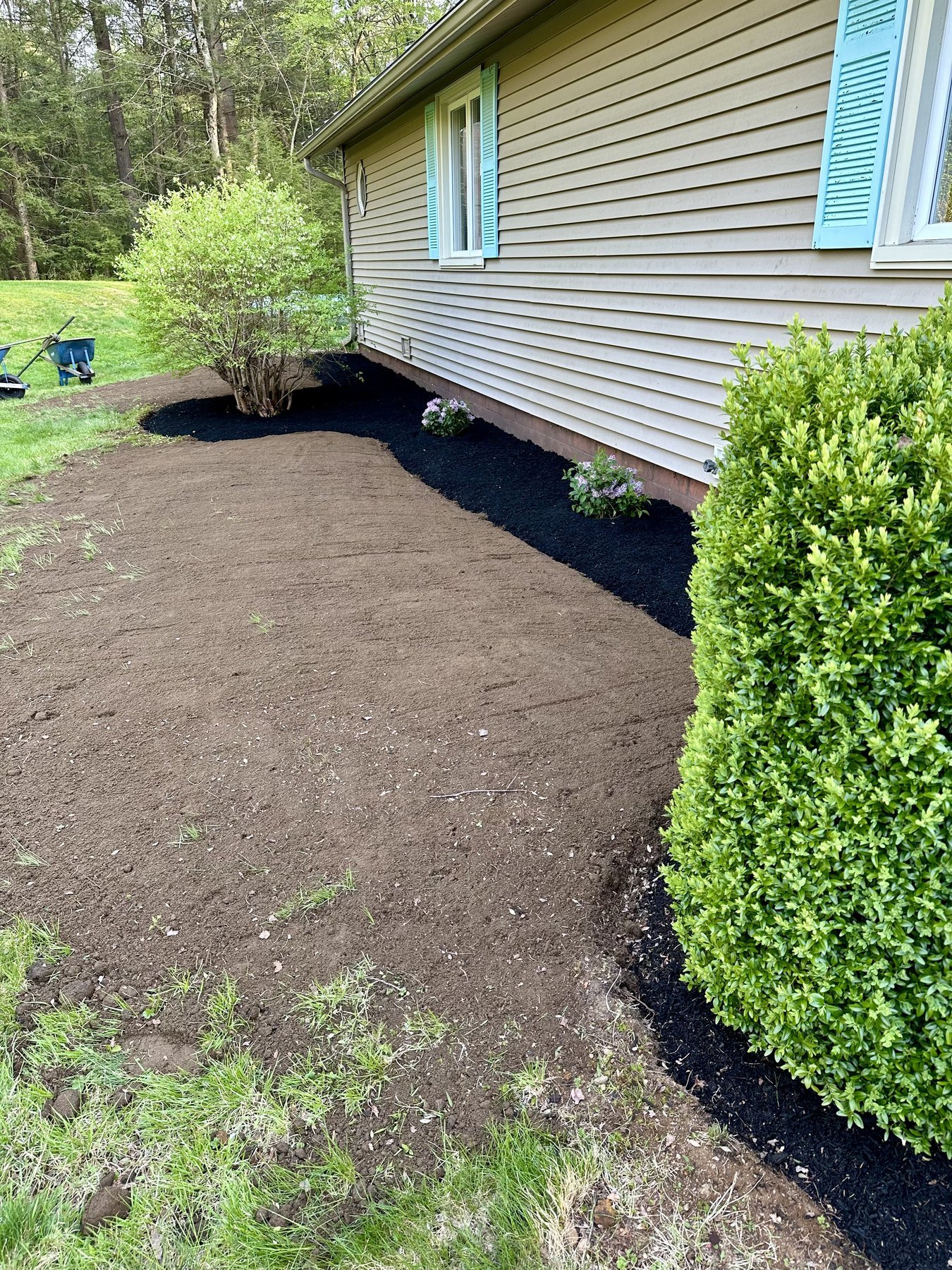 Crisp black mulch beds curving around the foundation of a tan house with blue shutters